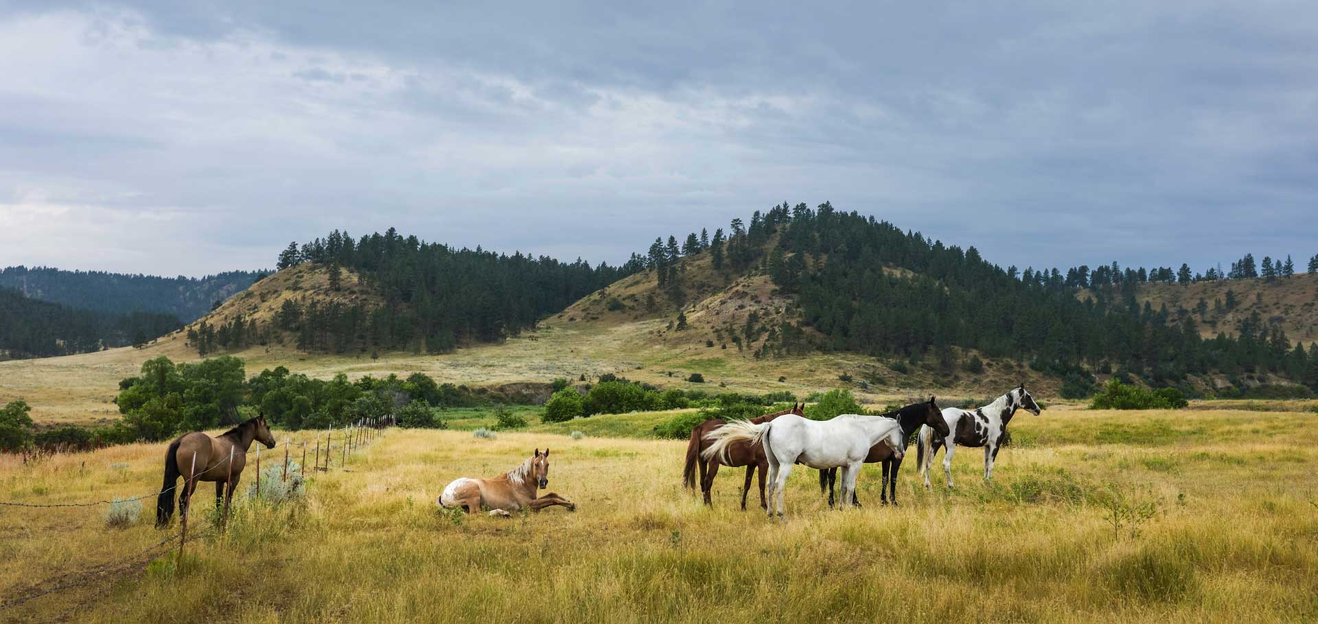 Cherie & Patrick - A Montana Tradition